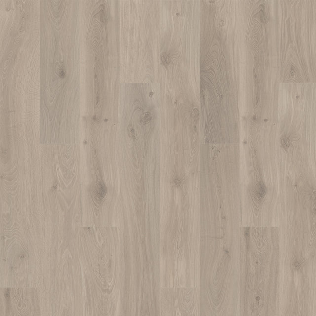 Quick-Step Ellicott Point Caligraphy Oak — merchant product photo